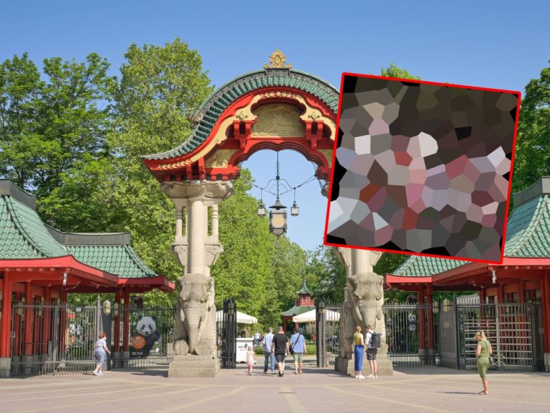 Zoo Berlin