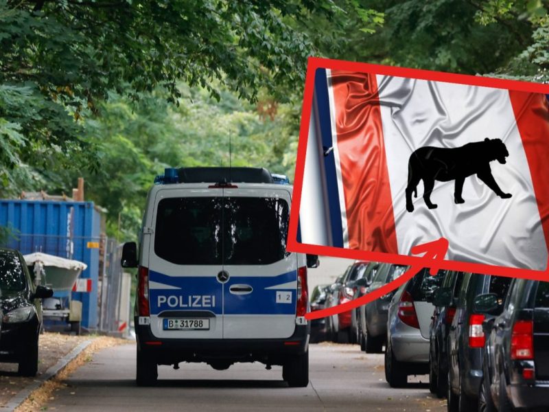 Löwin Berlin