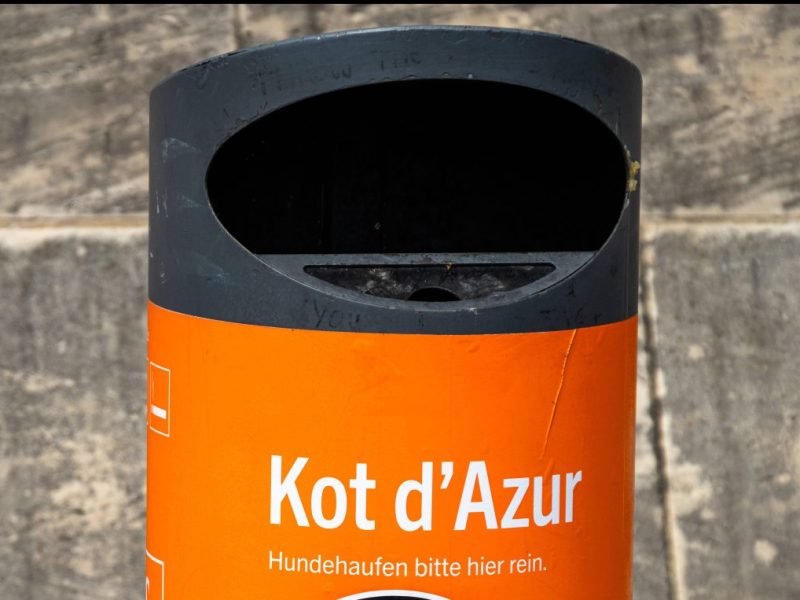 Berlin Hundehaufen