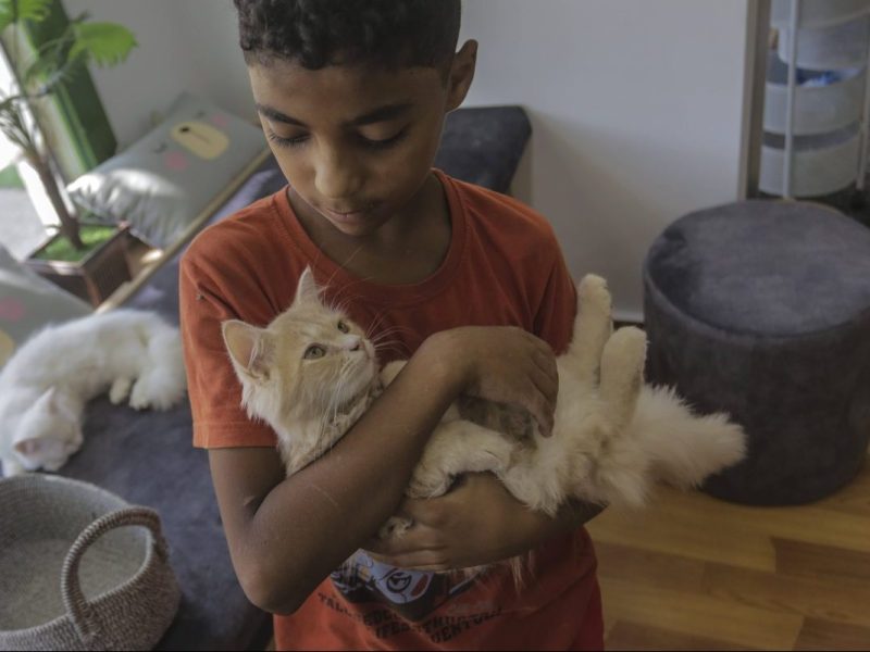 Kind hält Katze
