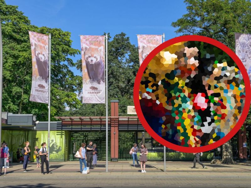 Berlin Tierpark