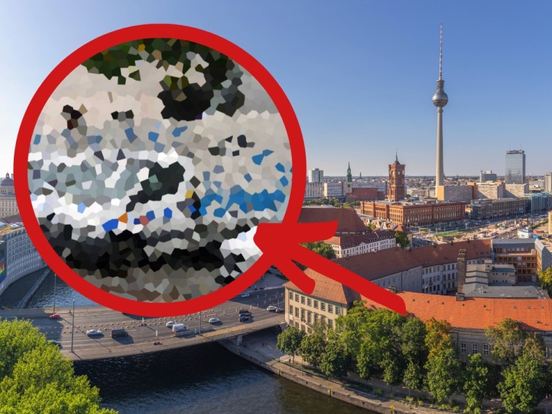 Berlin Robben Wientjes