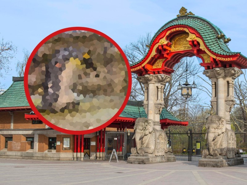 Zoo Berlin