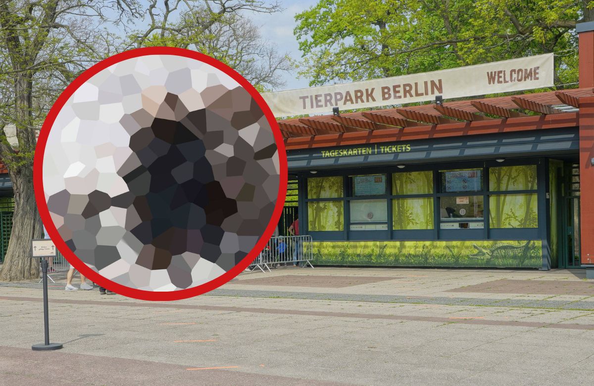 Zoo und Tierpark Berlin