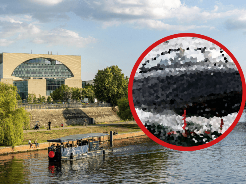 Elektroboote auf der Spree