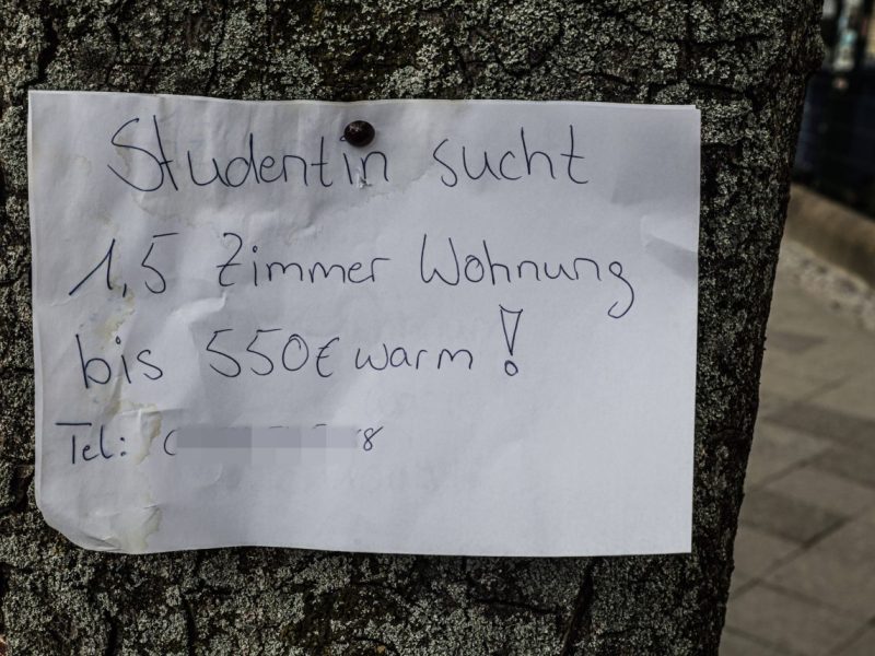Eine Studentin sucht mit Hilfe eines Zettels an einem Baum eine Wohnung in Berlin