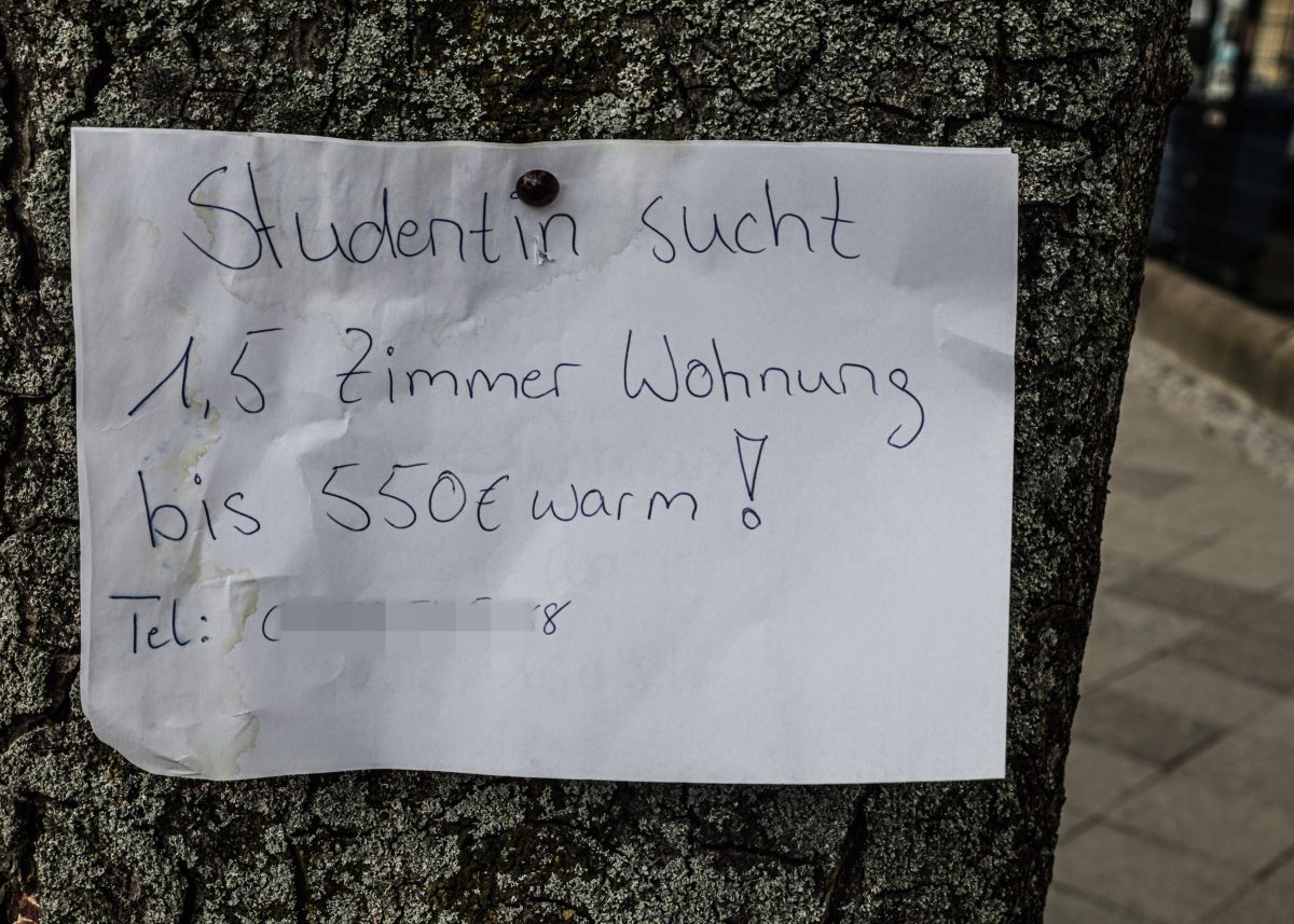 Eine Studentin sucht mit Hilfe eines Zettels an einem Baum eine Wohnung in Berlin