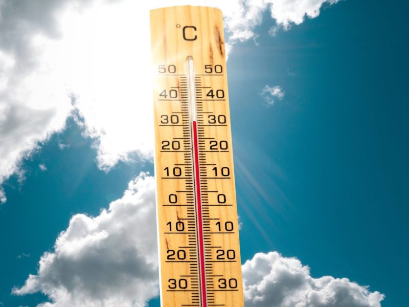 Wetter in Berlin
