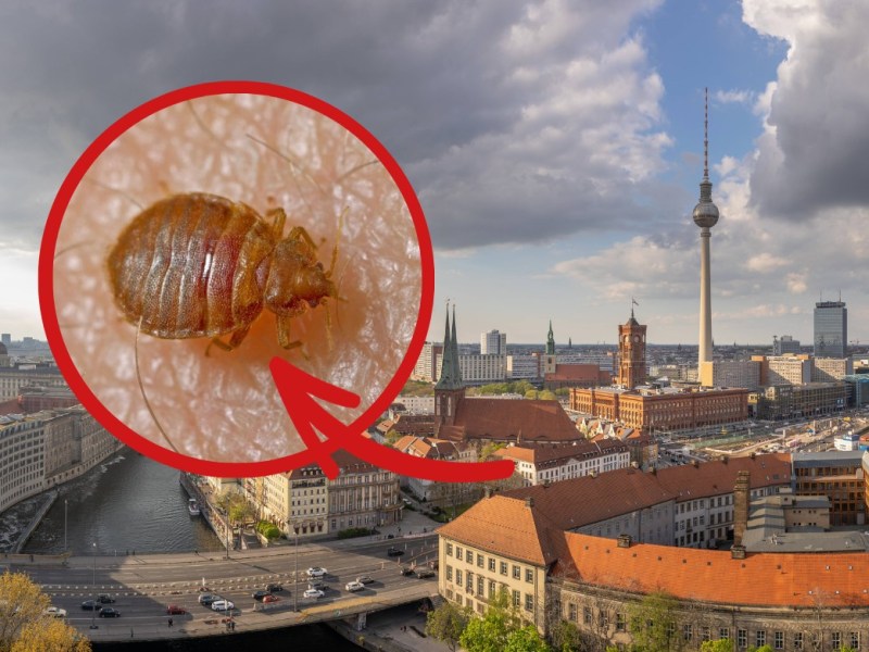 Berlin