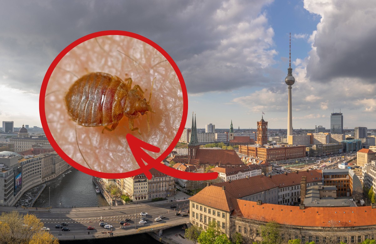 Berlin
