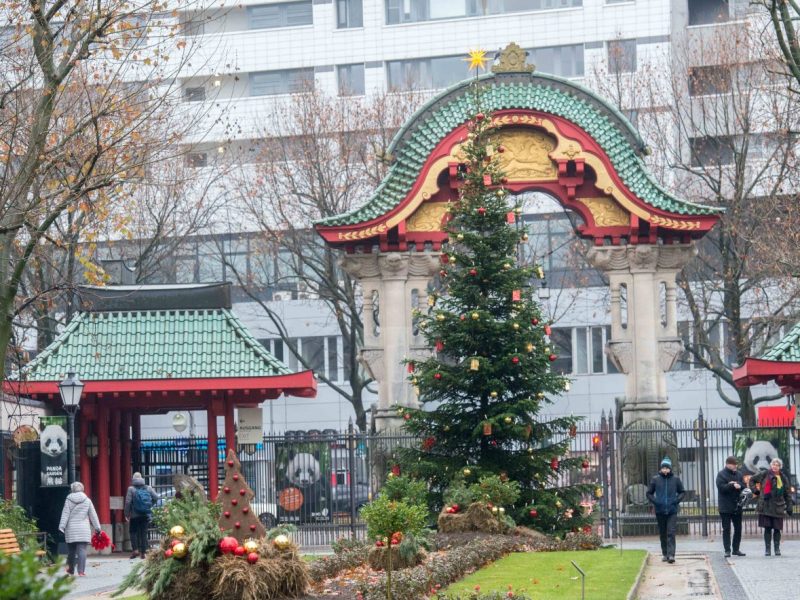 Berlin 24.12.22 Zoologischer Garten Berlin