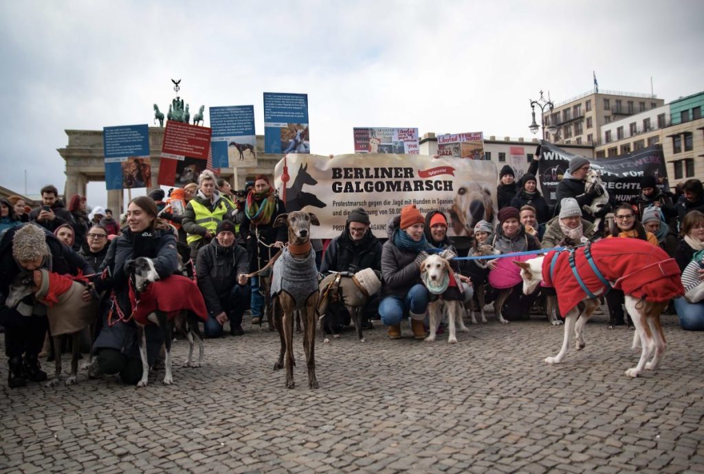 Demo in Berlin