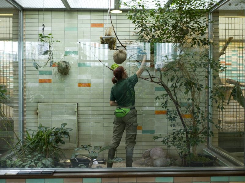 Tierpark Berlin