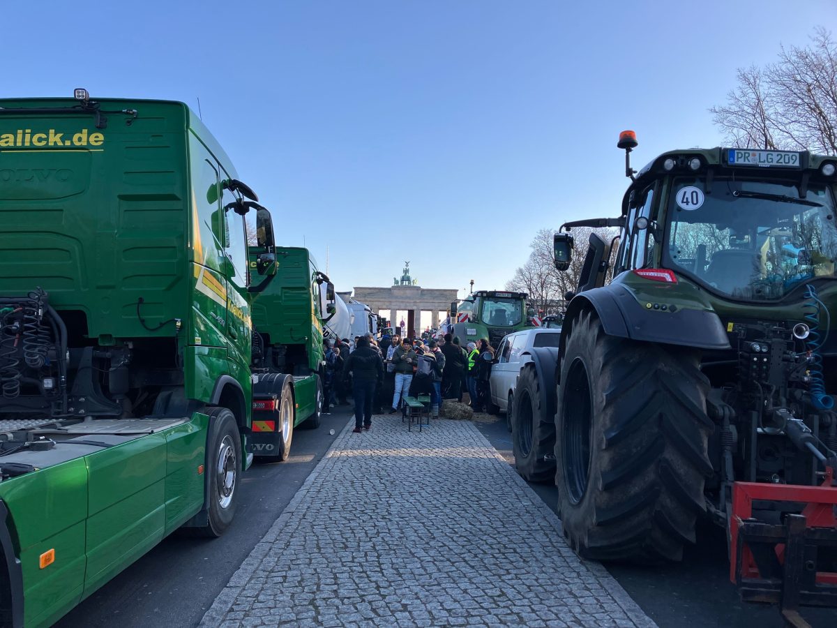 Demos in Berlin: Die Bauern versammeln sich vor dem Brandenburger Tor.