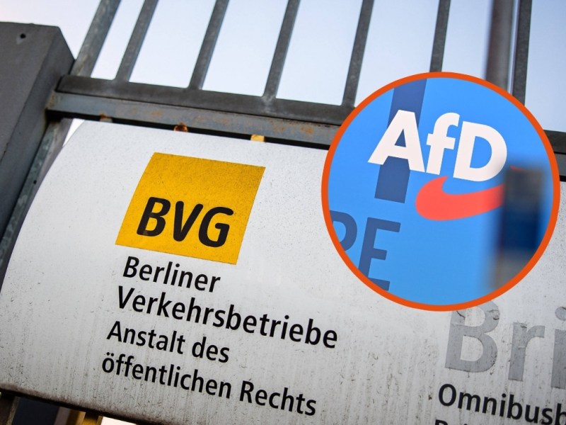 BVG