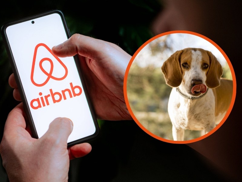 Airbnb