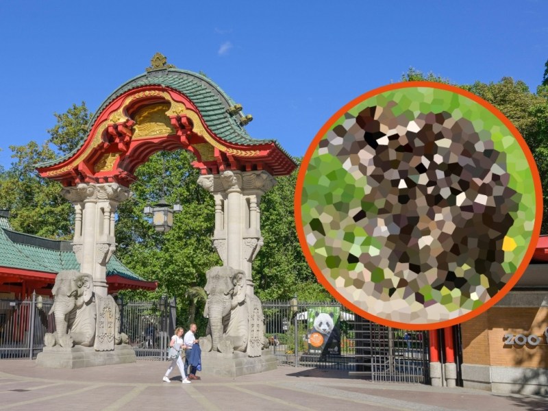 Zoo Berlin