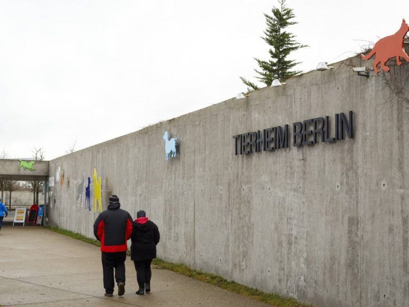 Tierheim Berlin