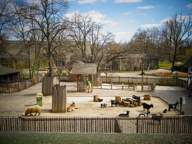 Zoo Berlin