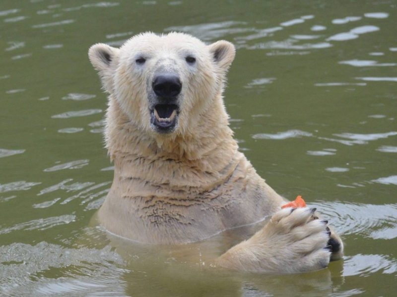 Tierpark Berlin