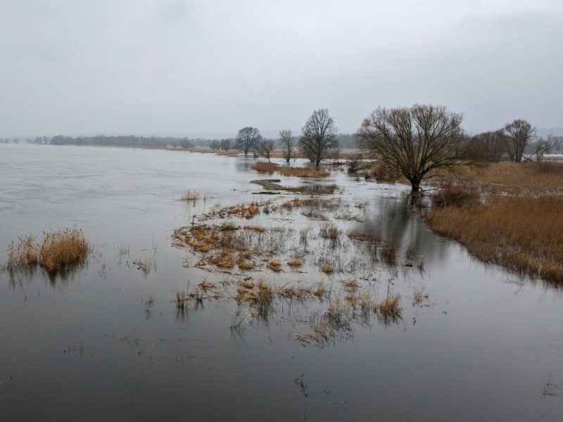 Wetter in Berlin & Brandenburg