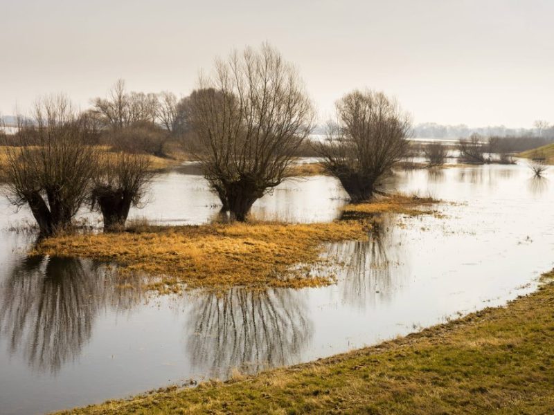 Wetter in Berlin & Brandenburg