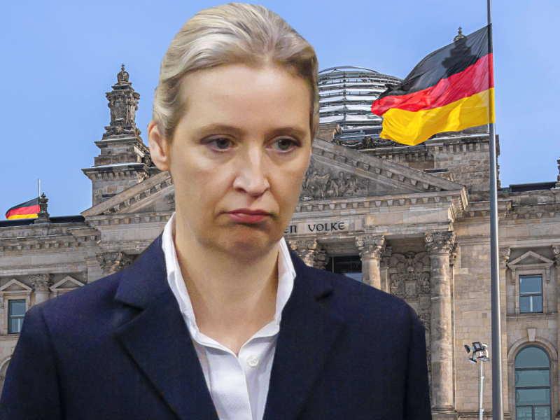 Umfragen für den Bundestag