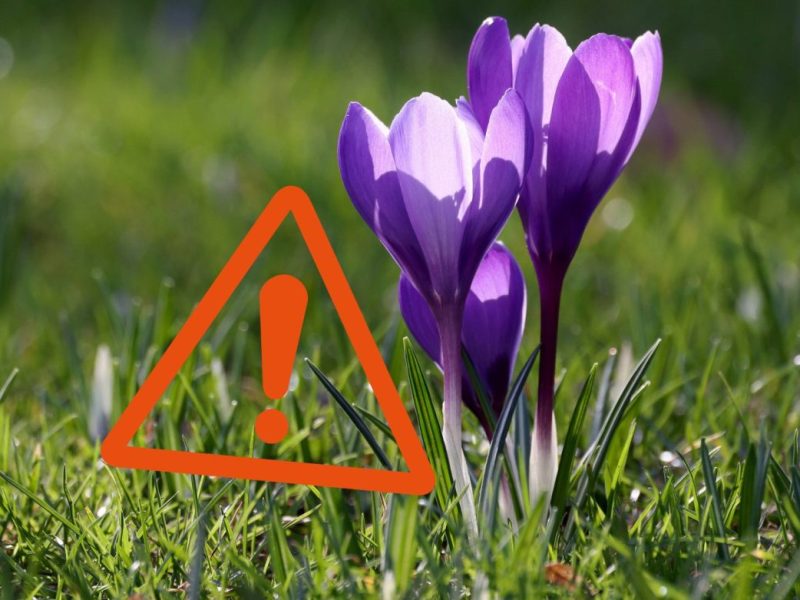 Wetter in Berlin & Brandenburg