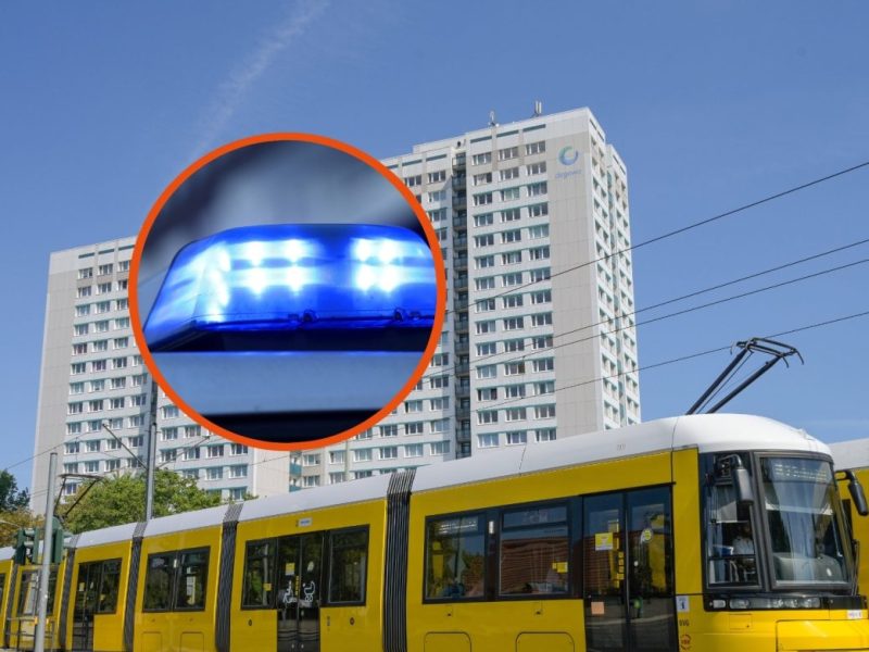 BVG