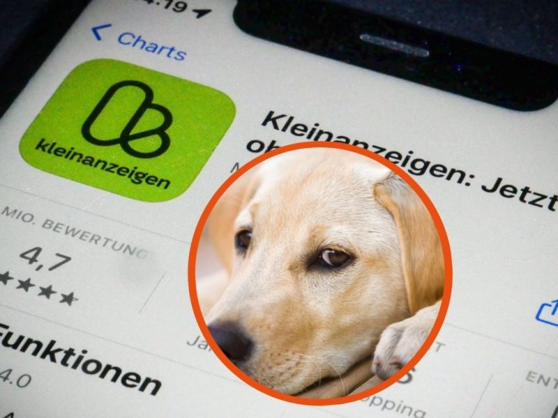 Kleinanzeigen