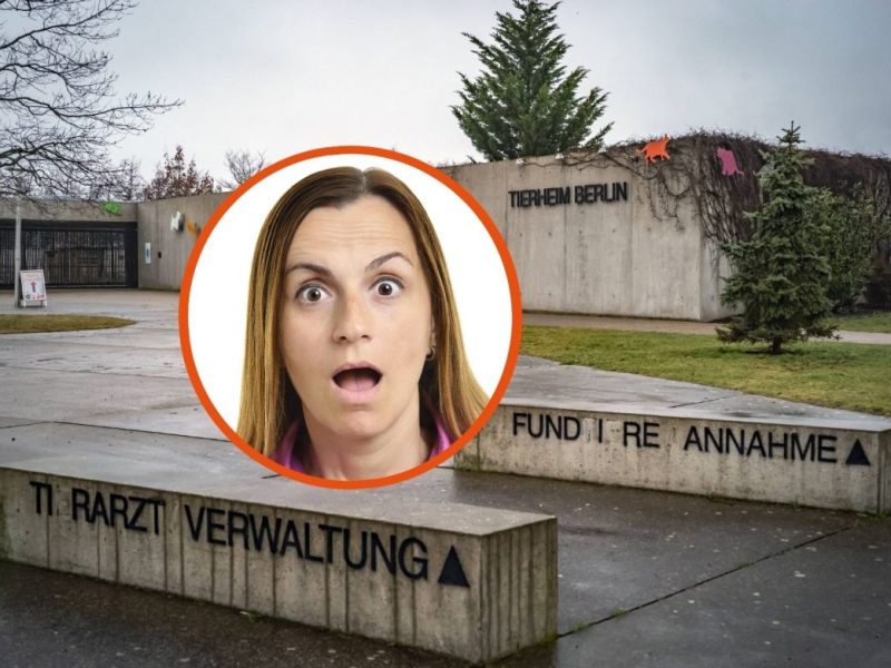 Tierheim