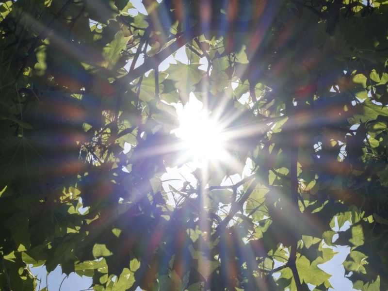 Wetter in Berlin & Brandenburg