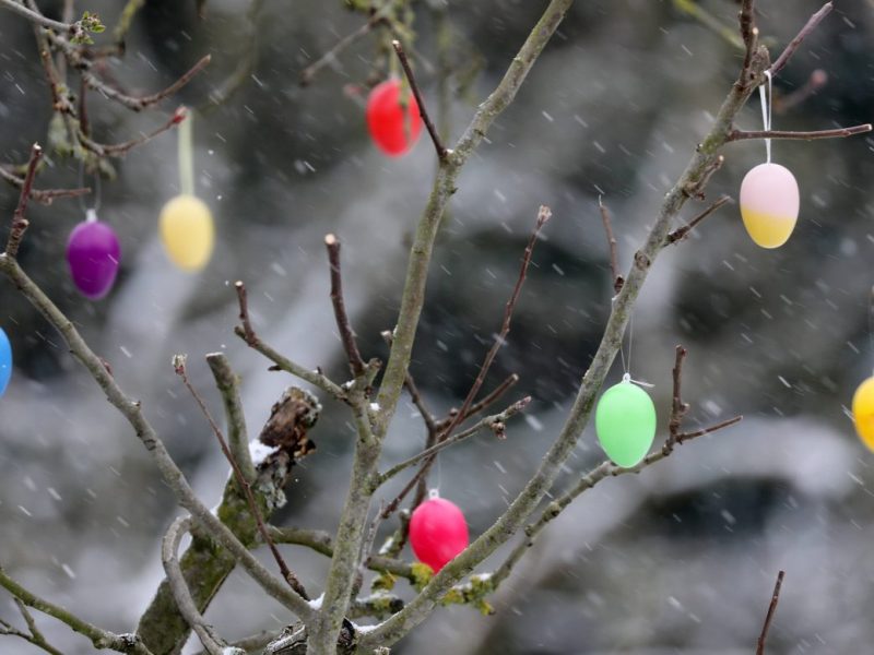 Wetter in Berlin und Brandenburg