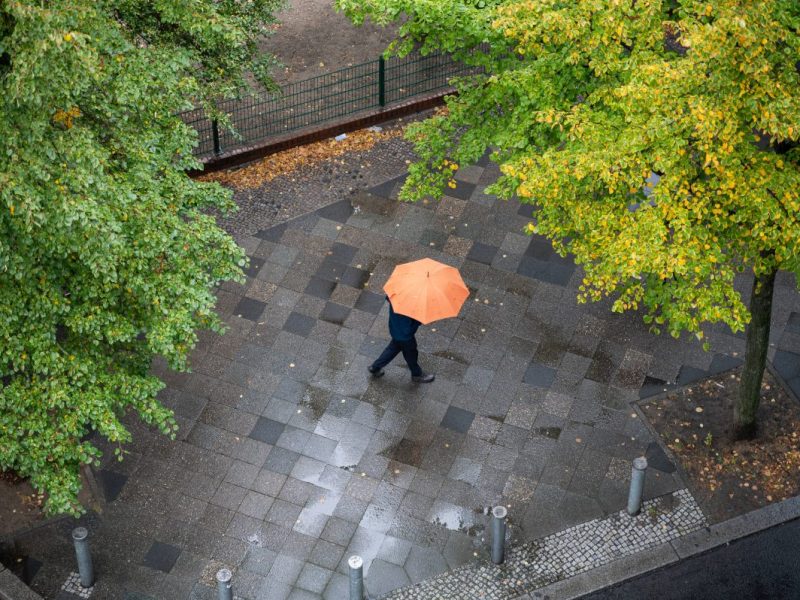 Wetter in Berlin & Brandenburg