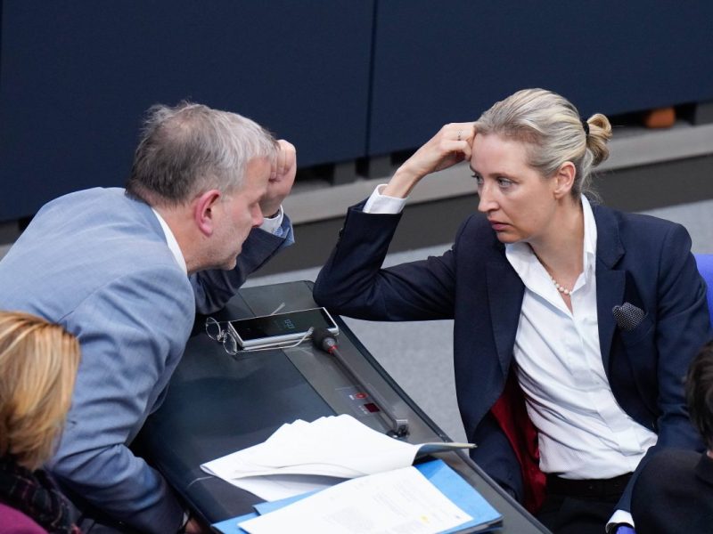 Neue Enthüllung über die AfD-Fraktion im Bundestag.