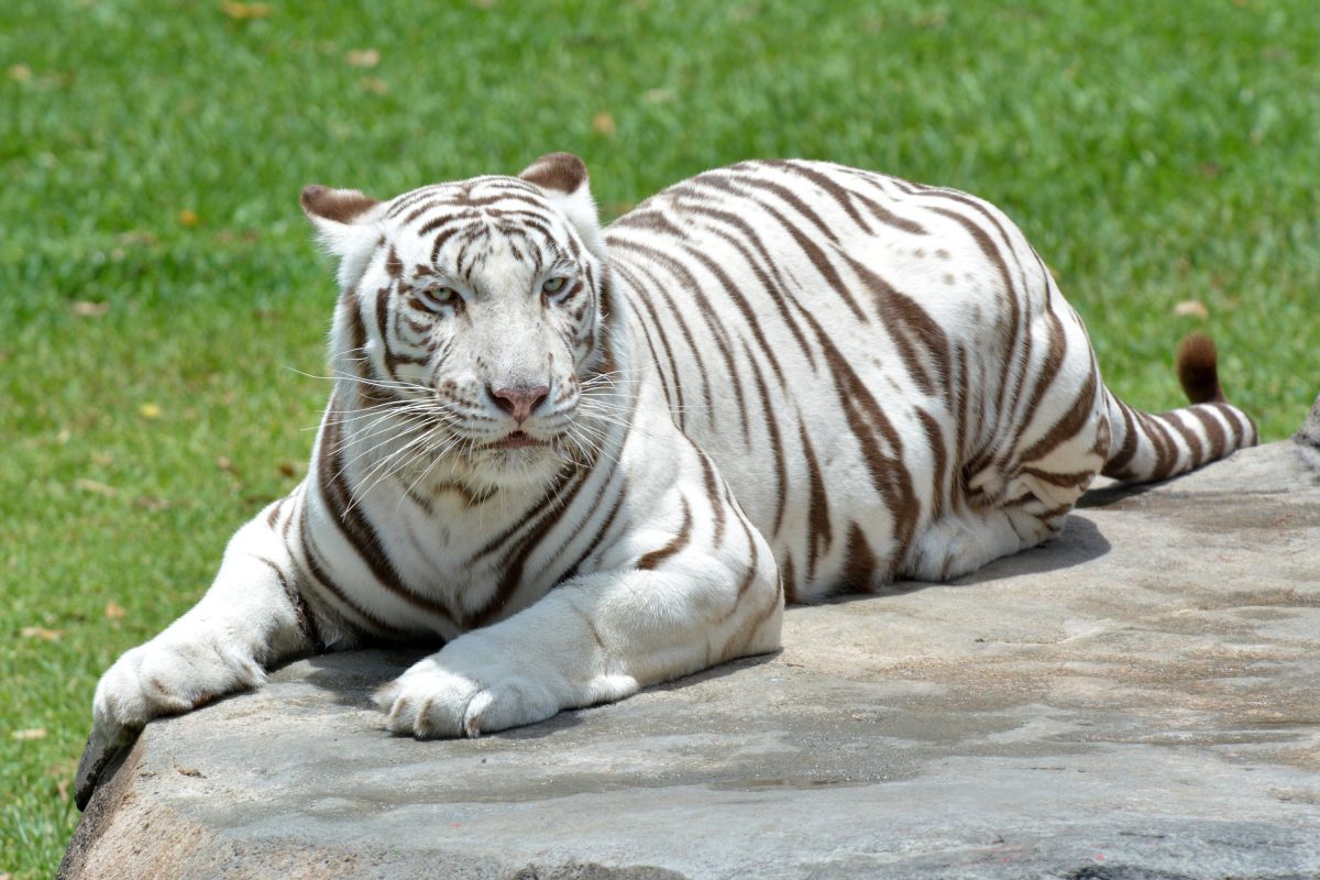 Tierpark in Brandenburg