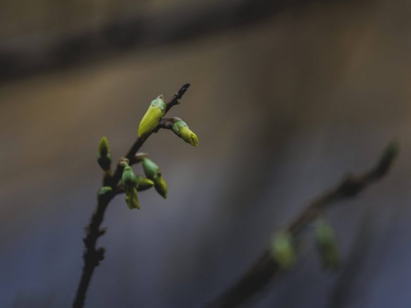 Wetter in Berlin & Brandenburg