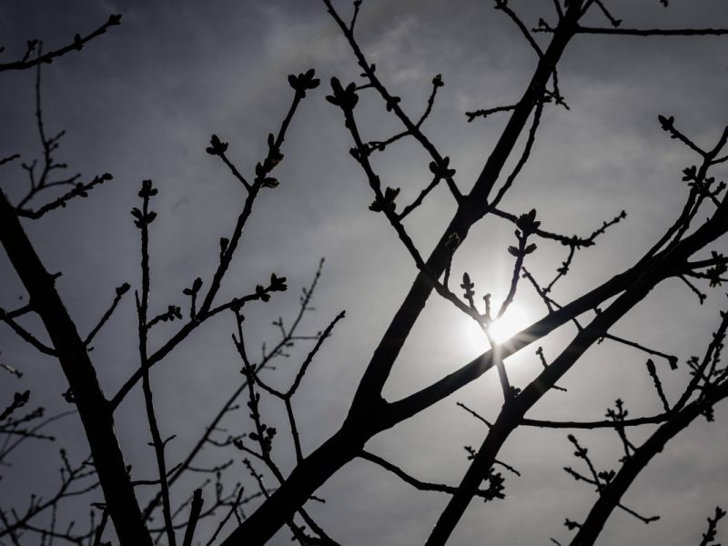 Wetter in Berlin & Brandenburg
