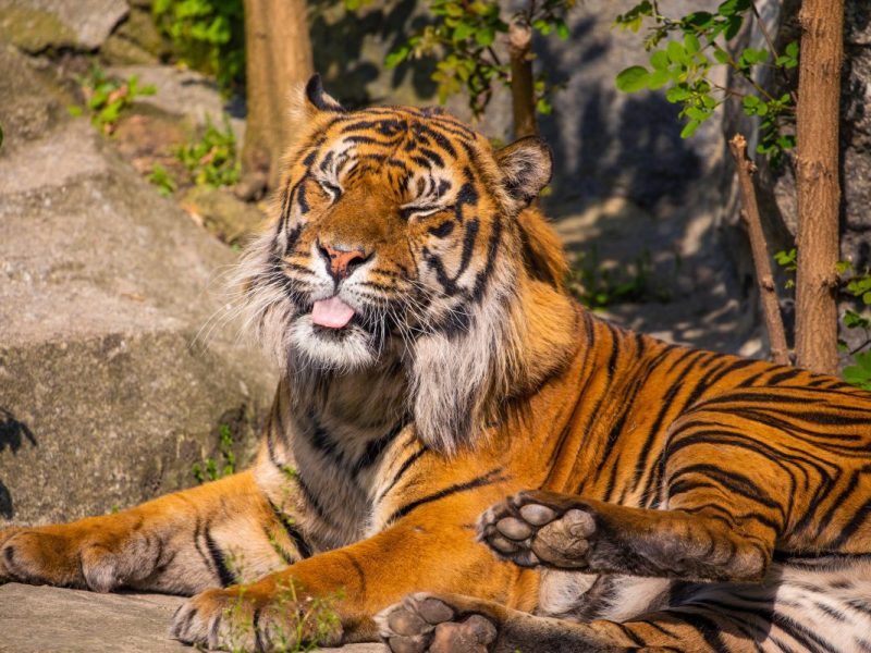 Zoo Berlin