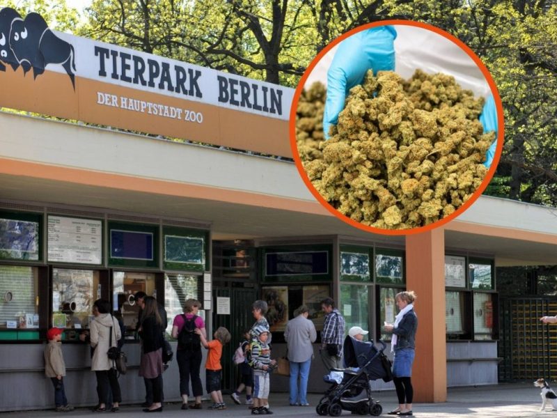 Tierpark Berlin