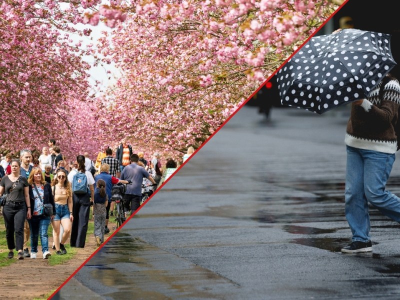 Wetter in Berlin & Brandenburg