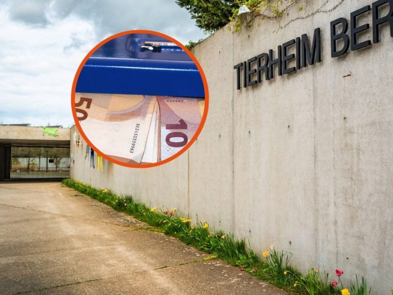 Tierheim Berlin