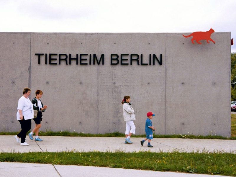 Tierheim Berlin