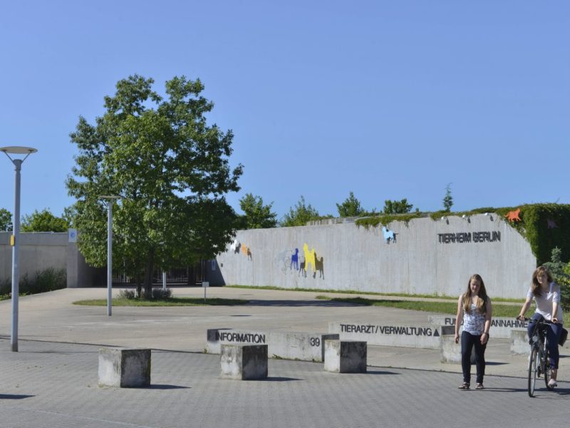 Tierheim Berlin