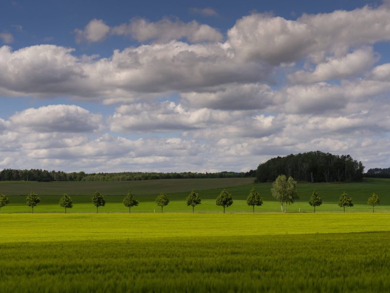 Wetter