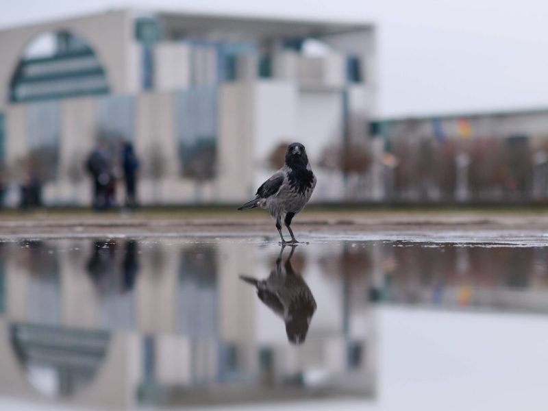 Wetter in Berlin & Brandenburg
