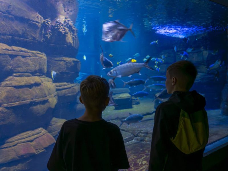 Zoo Berlin