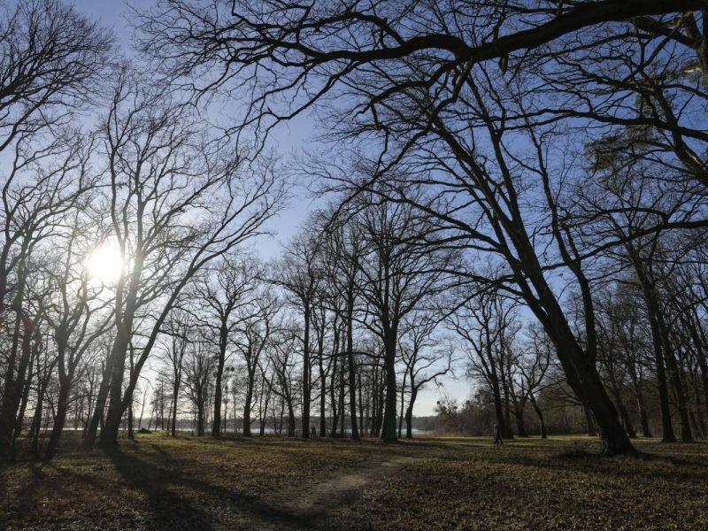 Wetter in Berlin & Brandenburg