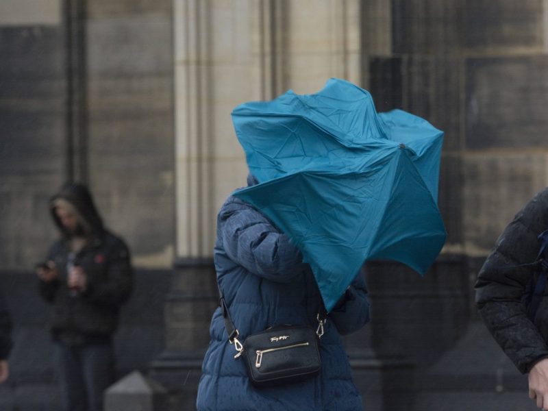 Wetter in Berlin & Brandenburg