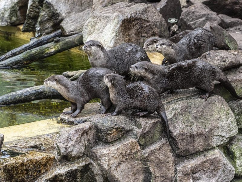 Tierpark Berlin